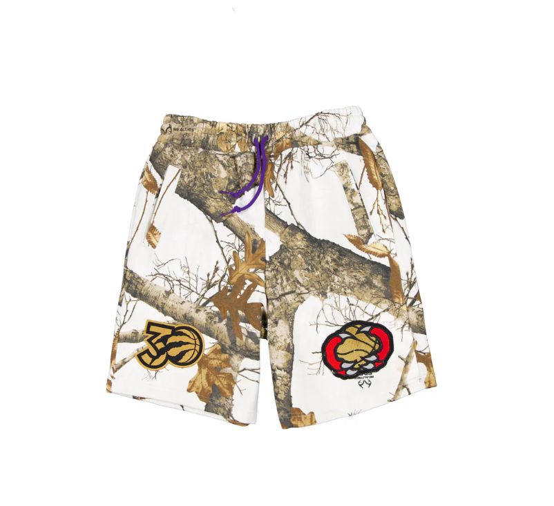 Men 2025 NBA Toronto Raptors shorts style 1->toronto raptors->NBA Jersey